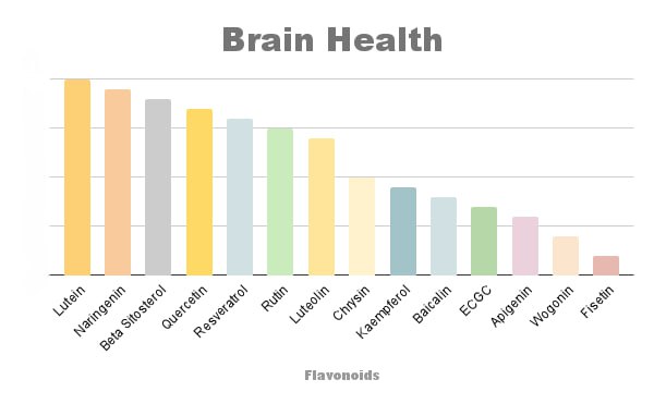 Flavent Brain Health Tincture | Brain Health/Function