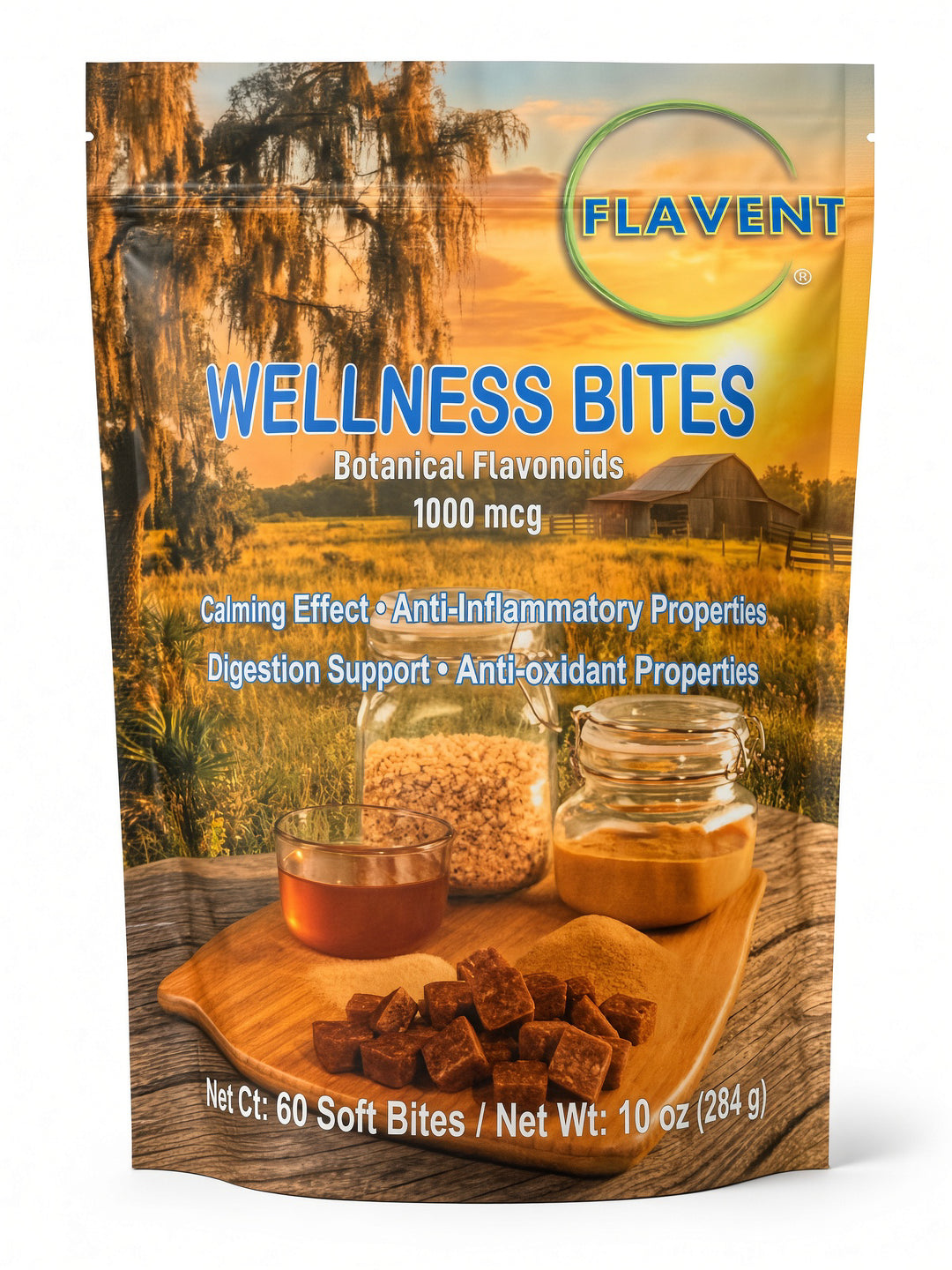 Wellness Bites | General Wellness